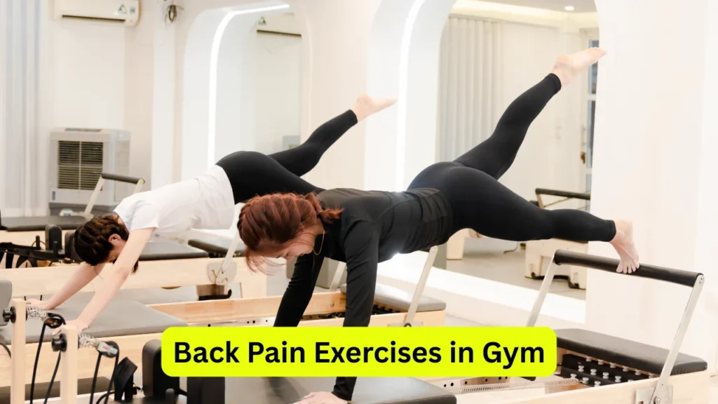 Back Pain Exercises in Gym