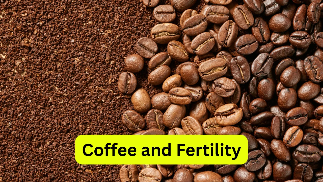 Coffee and Fertility