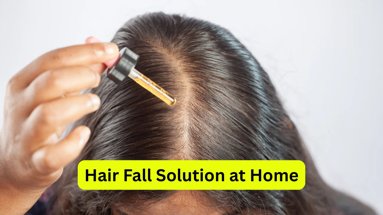 Hair Fall Solution at Home