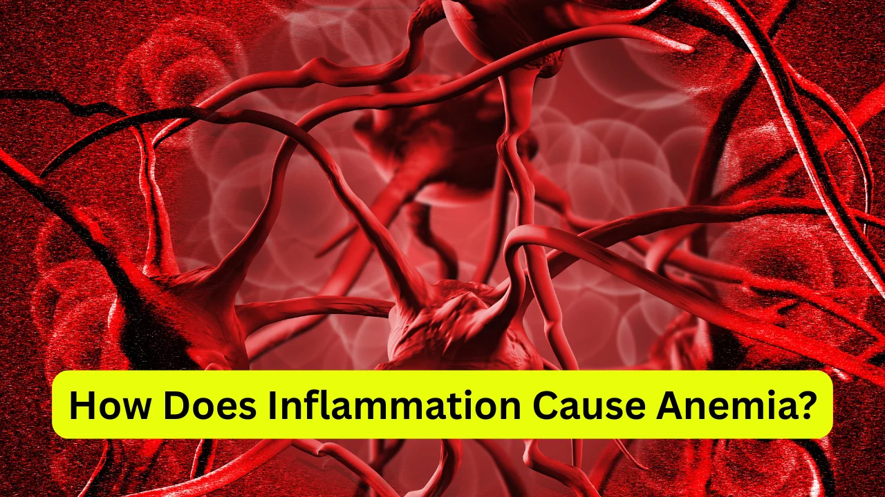How Does Inflammation Cause Anemia