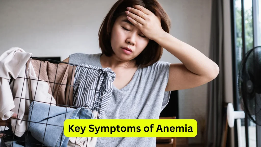 Key Symptoms of Anemia